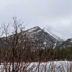 20210531-estes-park_20.jpg