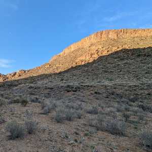 20230315-big-bend_23.jpg